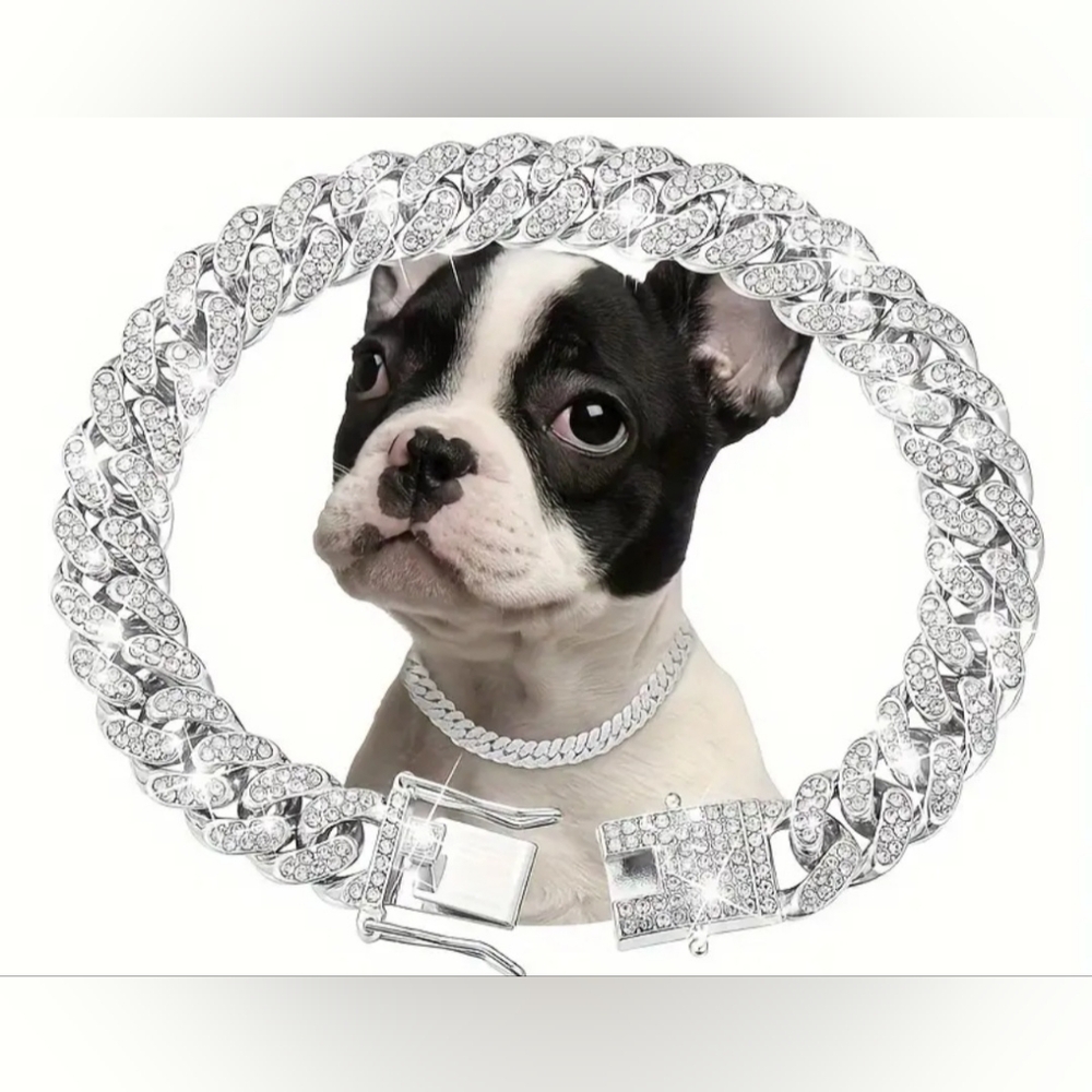 Pet Collar in All Sizes